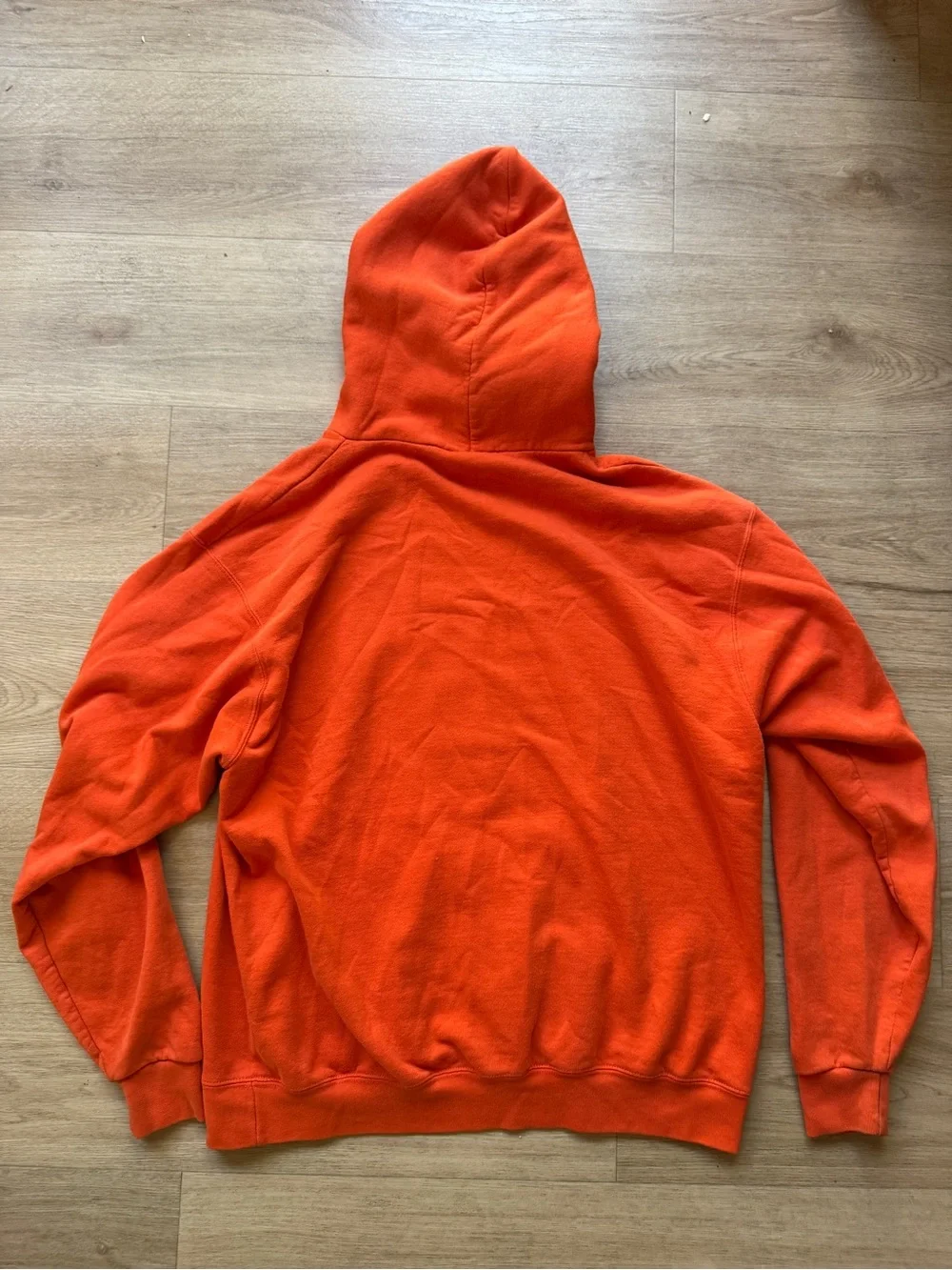 Champion Boise State Hoodie